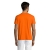 s11380-or-back
