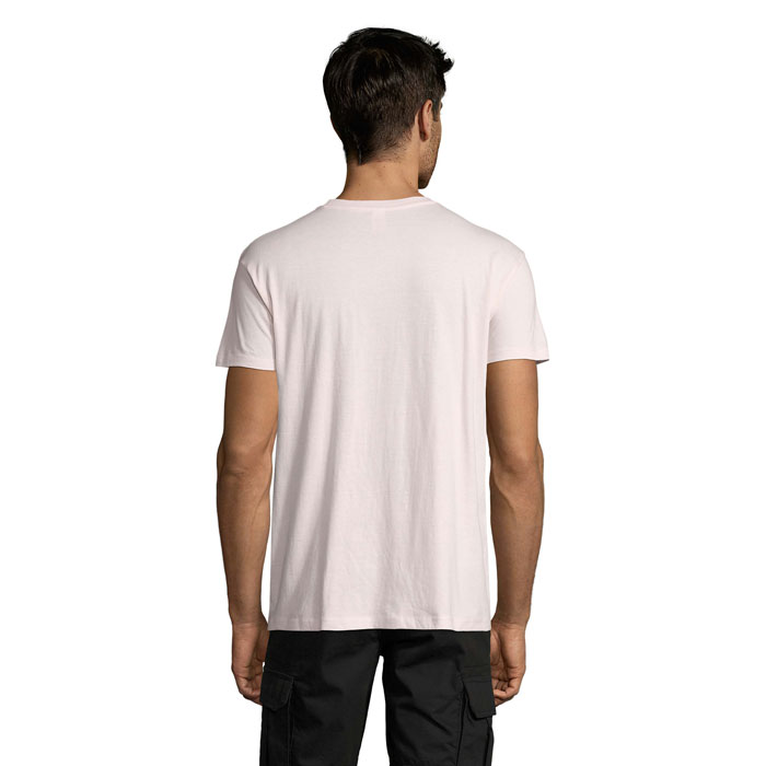 s11380-pp-back