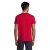 s11380-rd-back