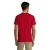 s11380-ta-back