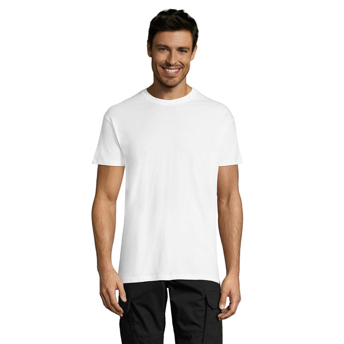 s11380-wh