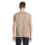 s11380-ro-back