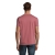 s11500-ap-back