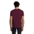 s11500-bg-back