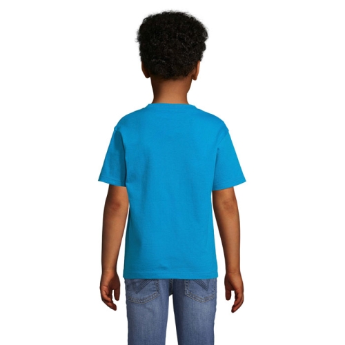 s11770-aq-back