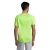 s11939-ag-back