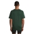 s11939-fg-back