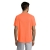s11939-no-back