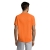 s11939-or-back