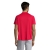 s11939-rd-back