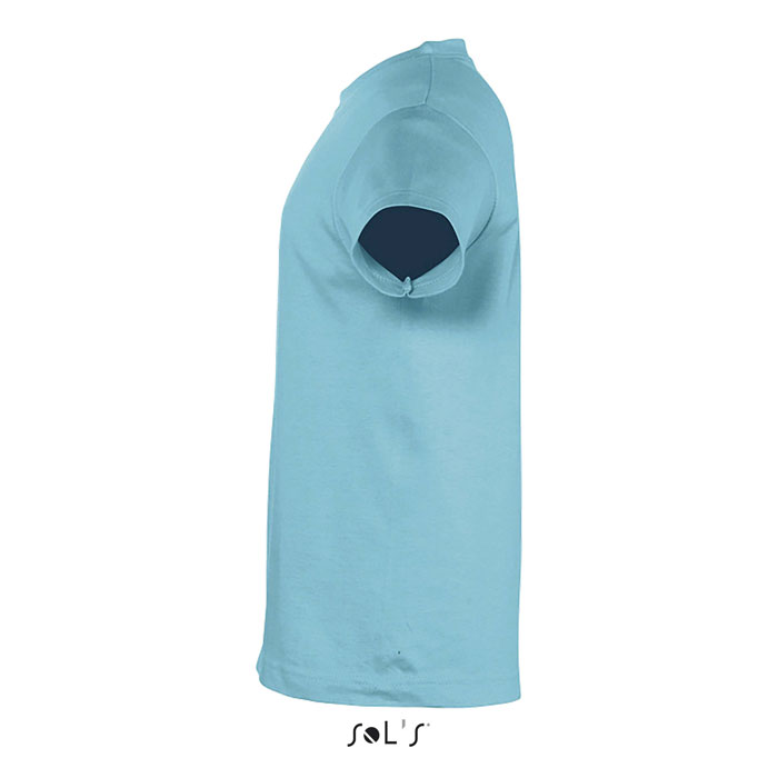 s11970-al-side