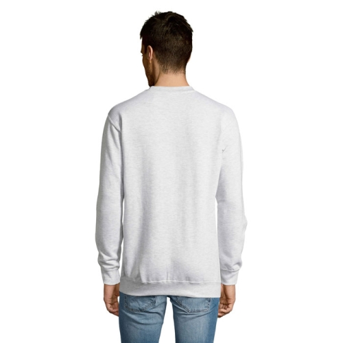 s13250-as-back