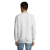 s13250-as-back