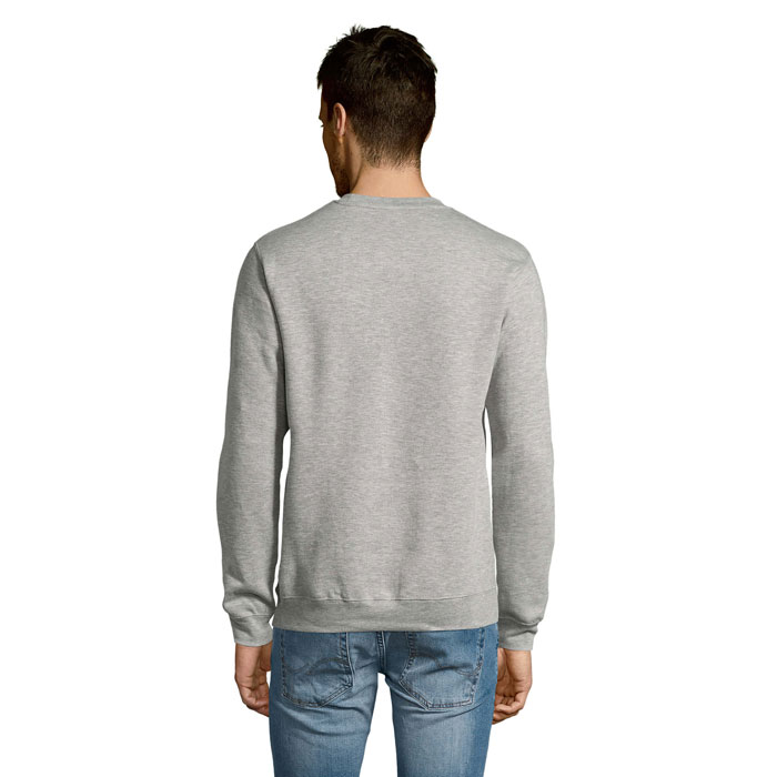 s13250-gm-back