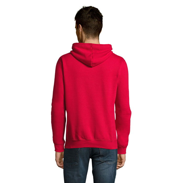 s13251-rd-back