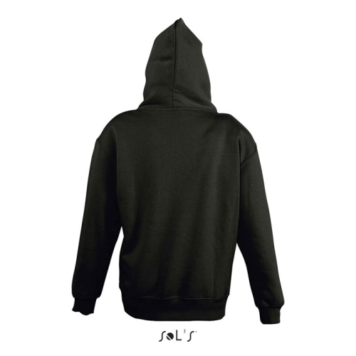 s13255-bk-back