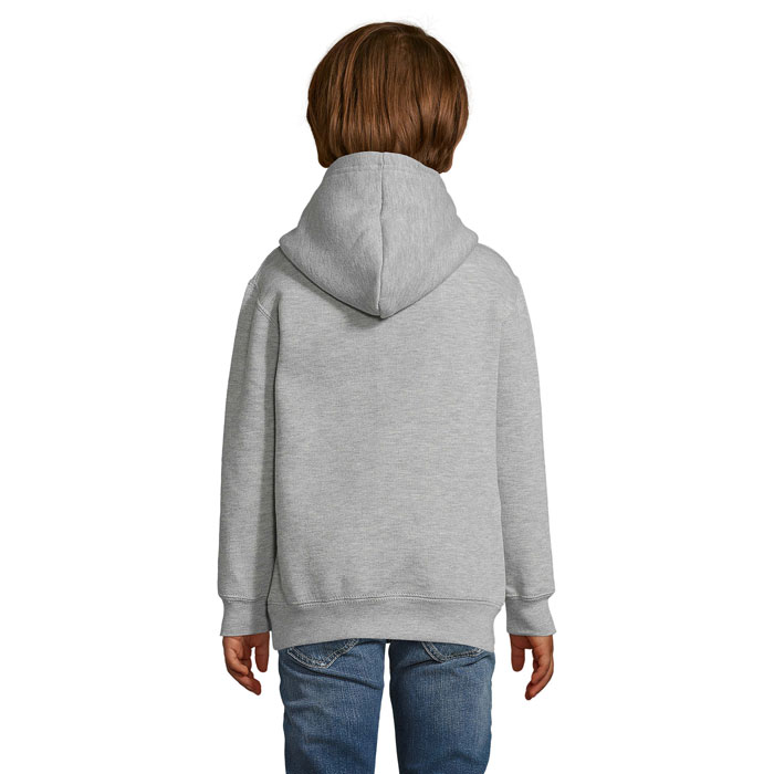 s13255-gm-back