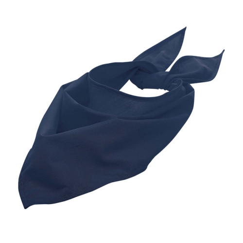 s01198-fn