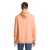 s04232-ph-back