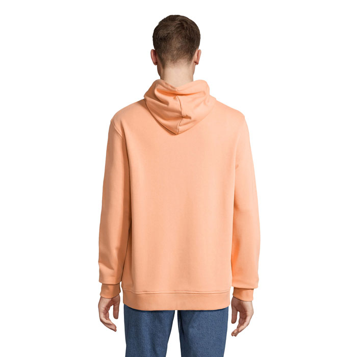 s04232-ph-back