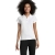 s11376-wh