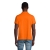s11377-or-back
