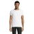 s00580-wh
