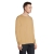 s03982-df-back
