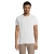 s11775-wh