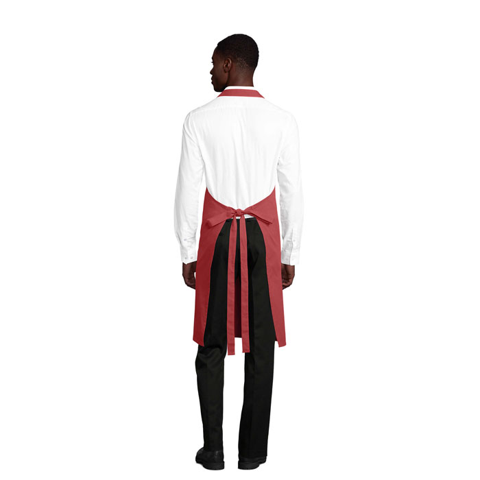 s03569-ap-back
