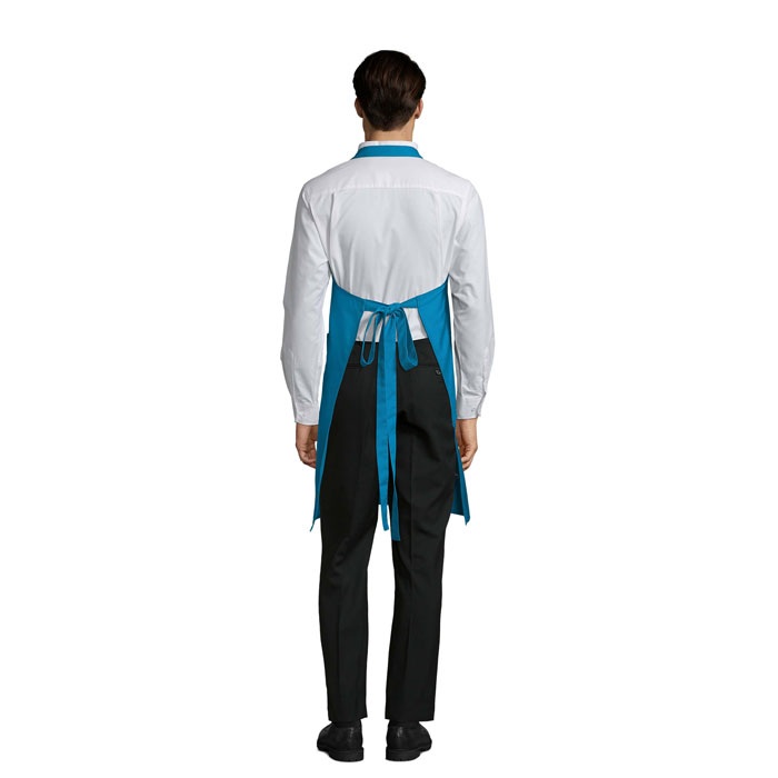 s88010-aq-back