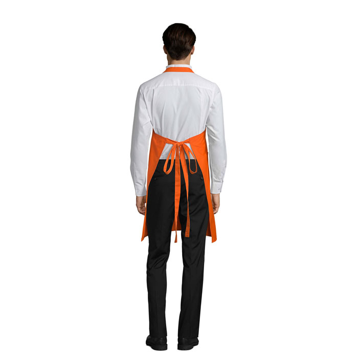 s88010-or-back